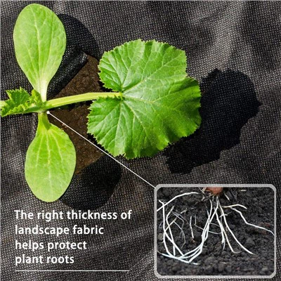 Folja tal-mulching bijodegradabbli